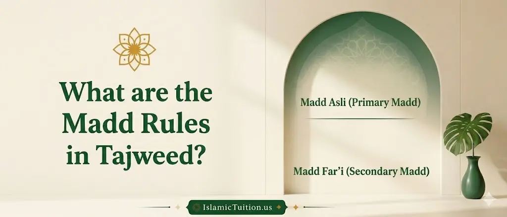 Clean Islamic educational banner explaining Madd rules in Tajweed with sections for Madd Asli and Madd Far’i & other types of Madd - Islamic Tuition