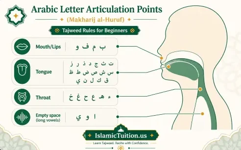 Arabic Letter Articulation Points – Beginner Tajweed Guide